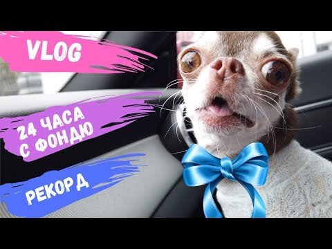 24 часа с Фондю 