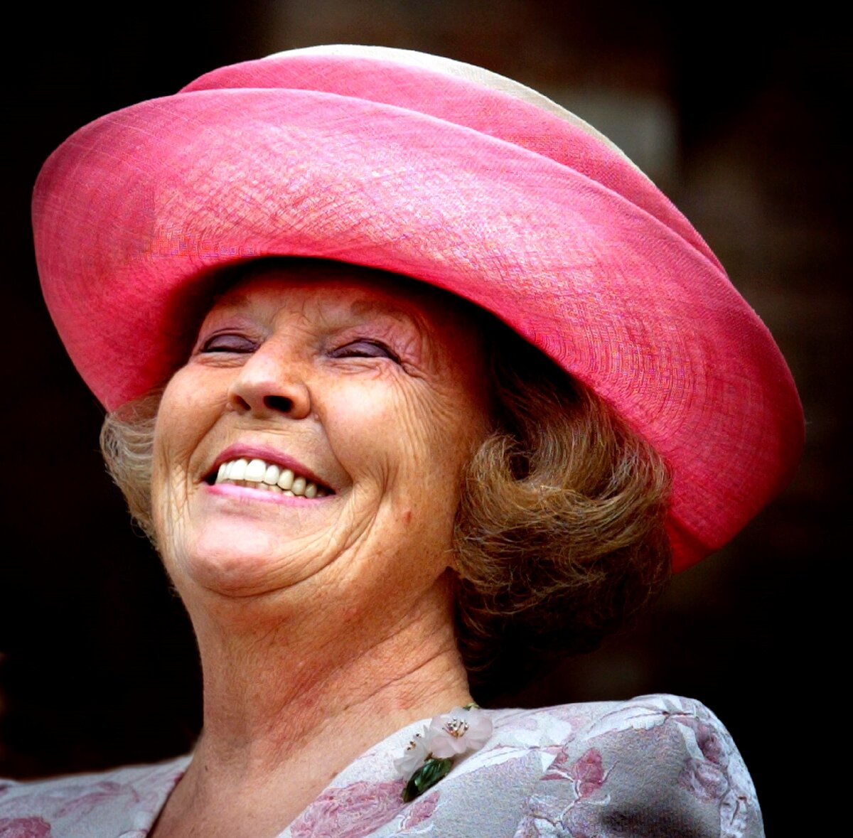 Сиятельная королевская улыбка