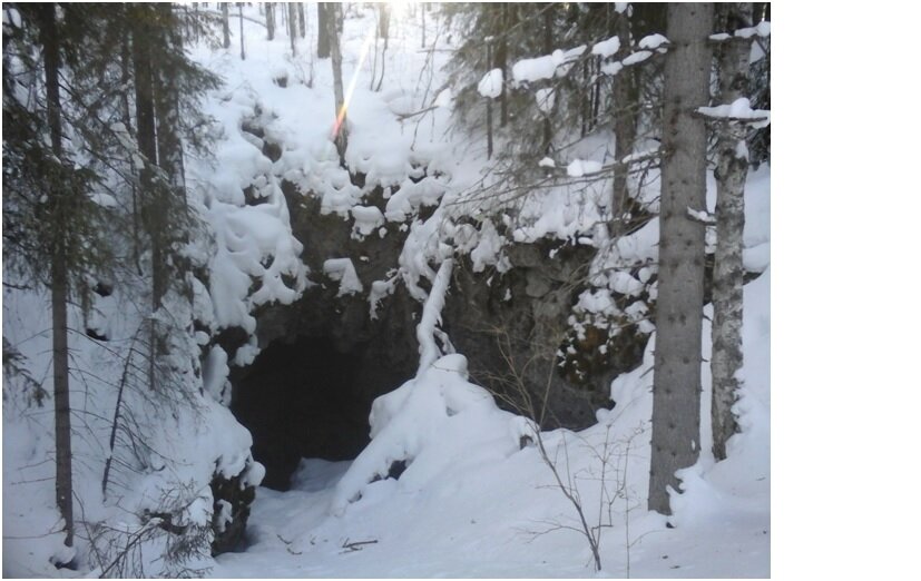 "Жилище" щелпов).
