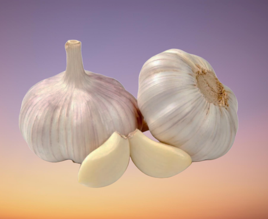 Чеснок