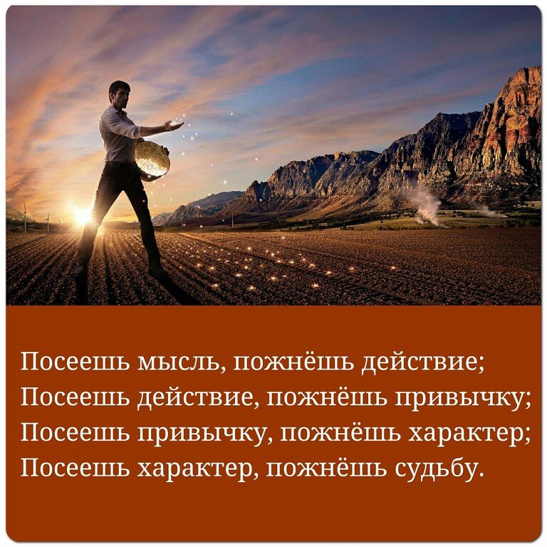 Яндекс картинки. 