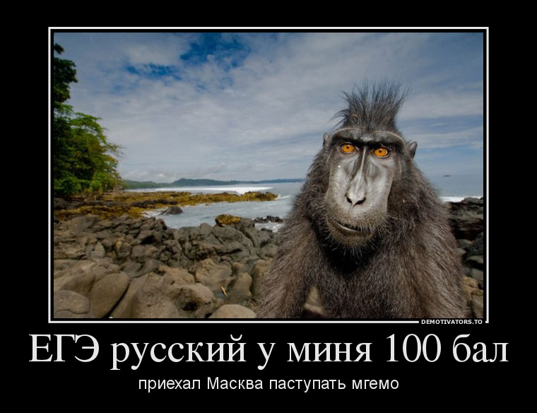 Источник изображения: Интернет