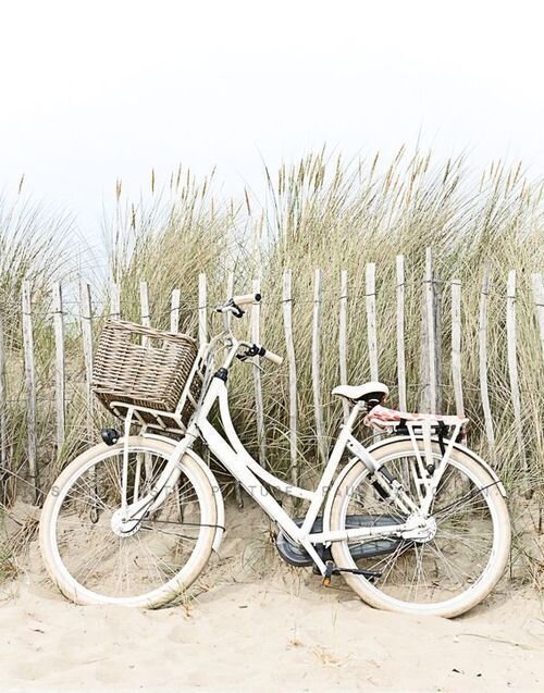 Фото с google.com