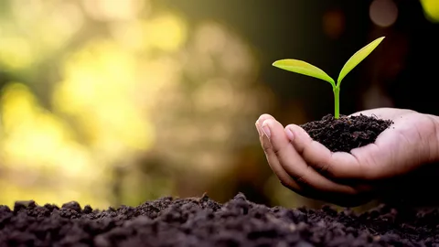 Грамматика английского языка  по концепции QS Английский язык LIVE - это не набор безжизненных в логике и несуществующих "времен", а именно та технология, которая позволяет думать по-английски бегло и уверенно, еще до расширения словарного запаса до высоты Empire State Building.