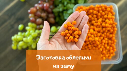 Заготавливаю облепиху на зиму за 5 минут – показываю свой способ