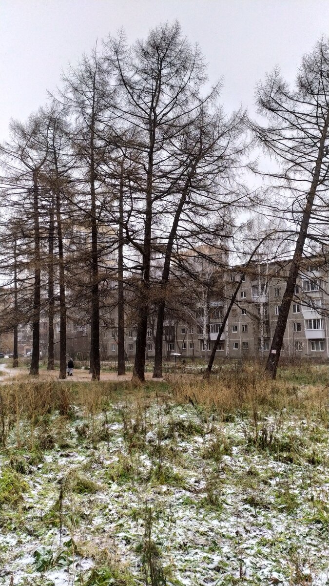 Я иногда плутаю во дворах в поисках нужного адреса)