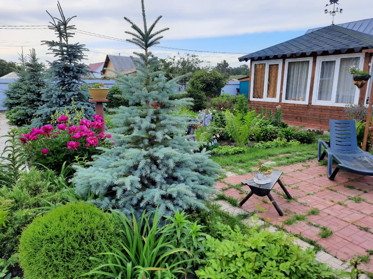 Зона отдыха и место для бассейна