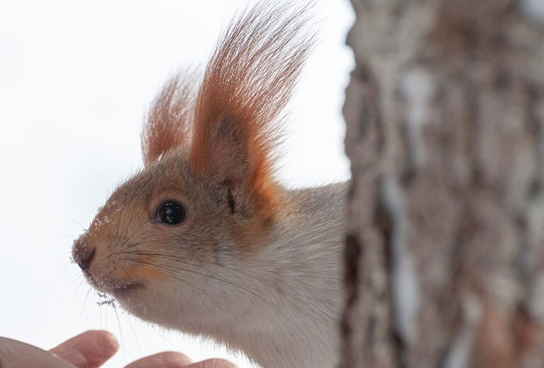 Фото взято из интернета в качестве иллюстрации в свободном доступе