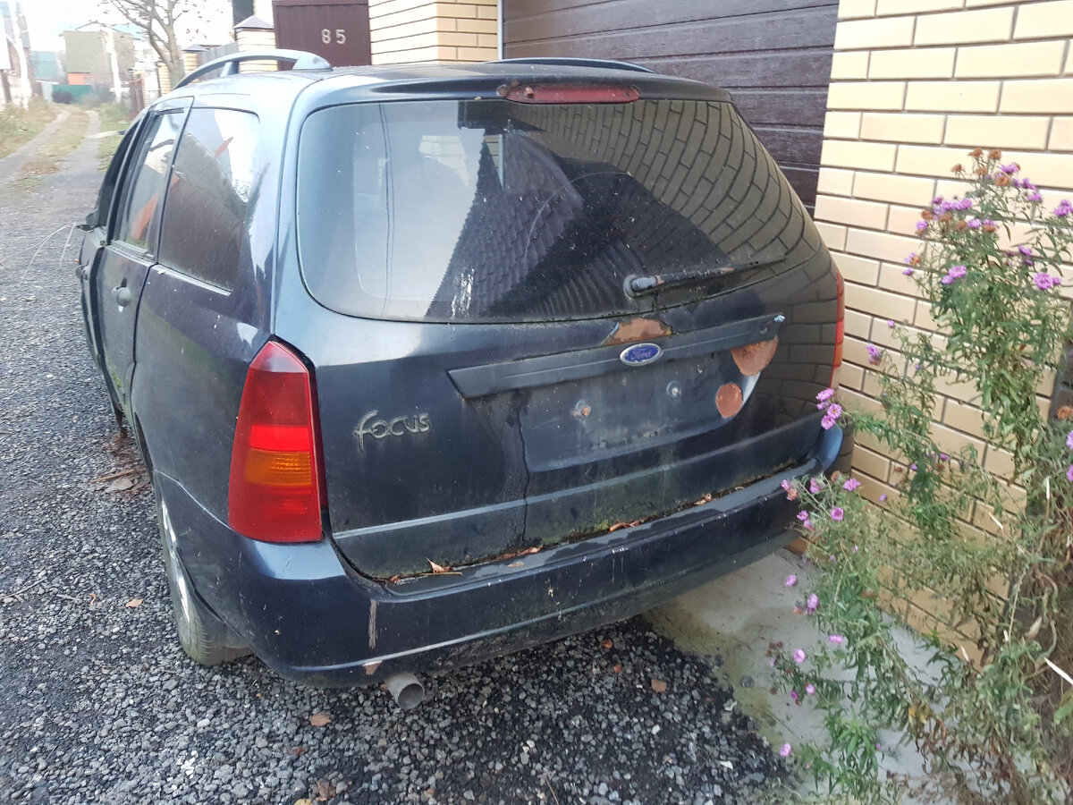 Ford Focus. Фото автора