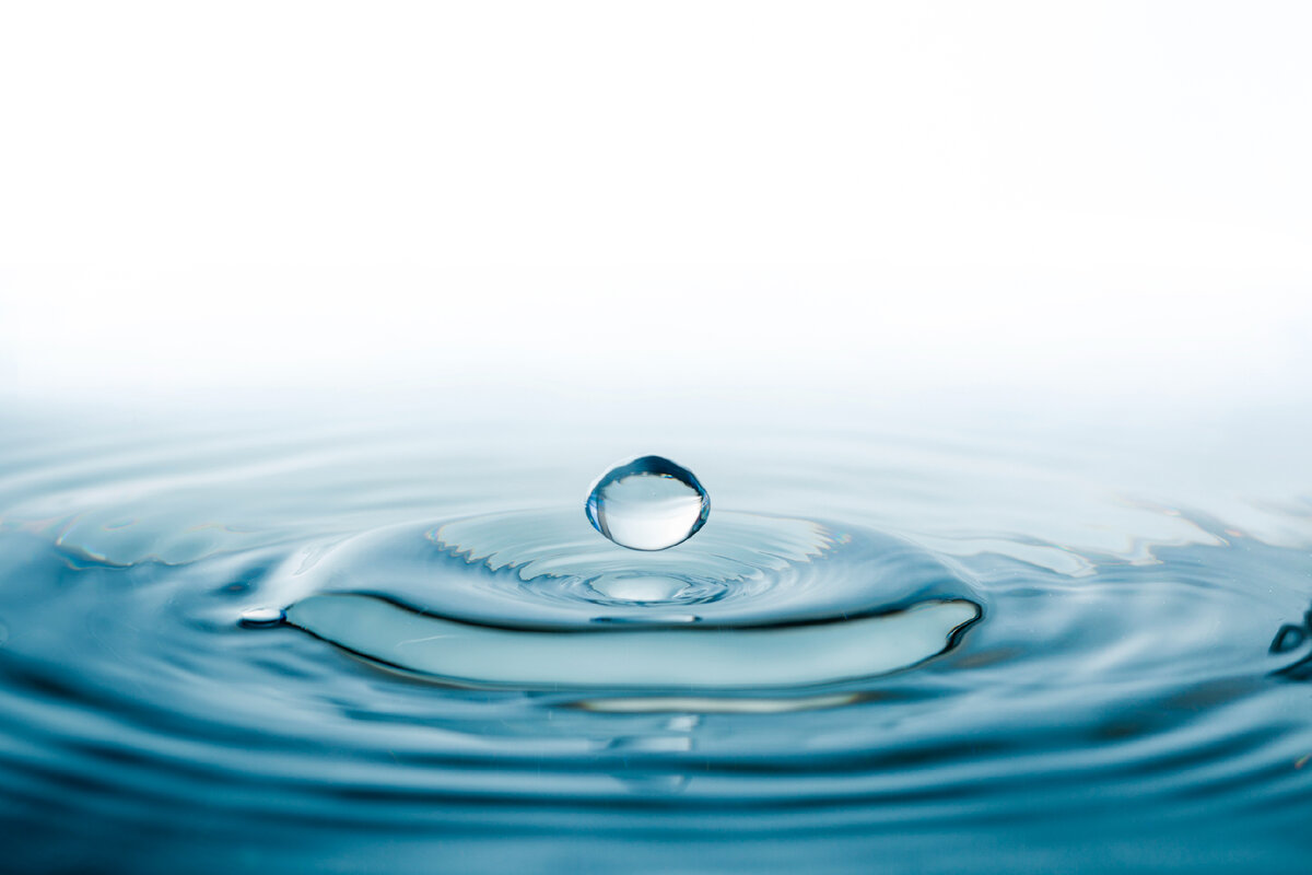 Источник: https://www.istockphoto.com 