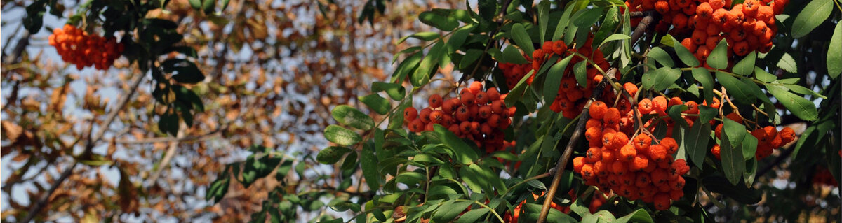 Консультации - Инстаграм neonatolog_altai