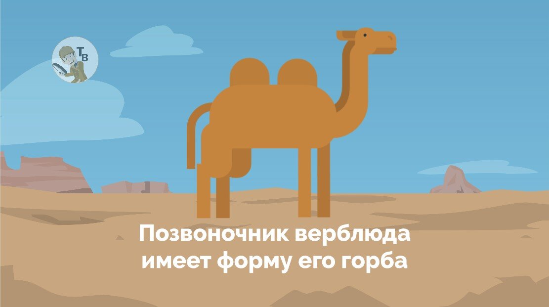 Правда или ложь? Источник: авторский коллаж