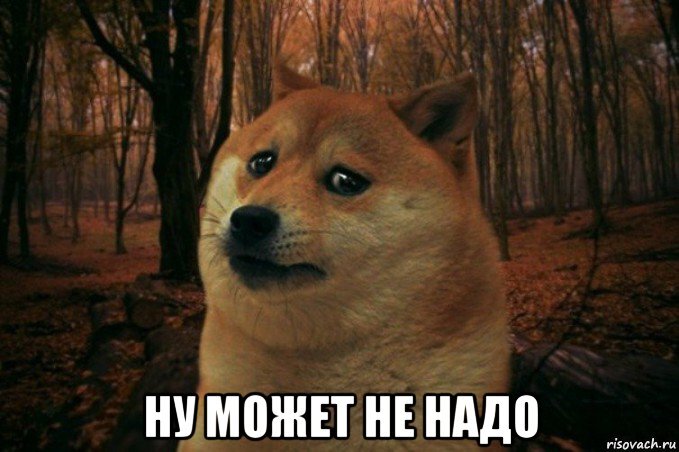 Мем можно не надо