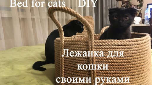 Шлейка для кошки своими руками!