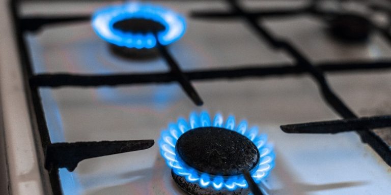 Фото: https://pixabay.com / Stroganova