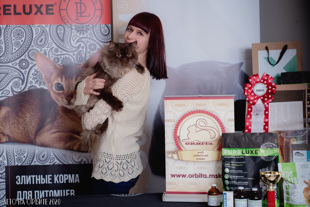 Как говорится, и где меня только не носило... но котики оказались интереснее :)