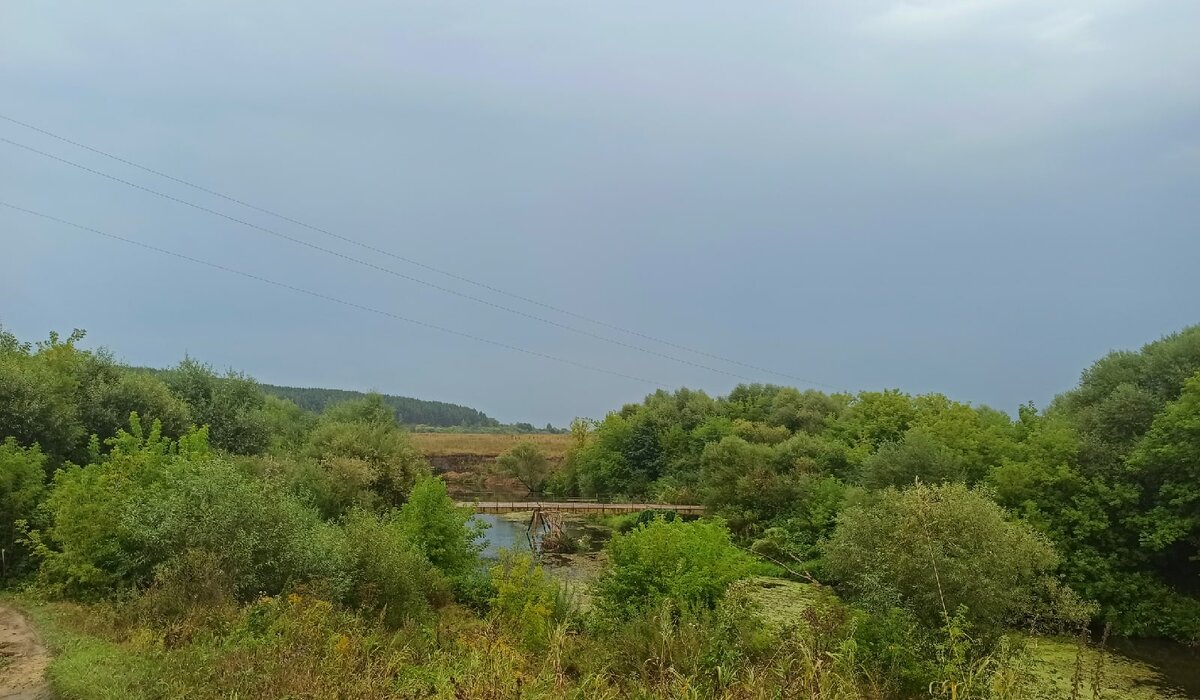 Река Ока, окрестности Альшани