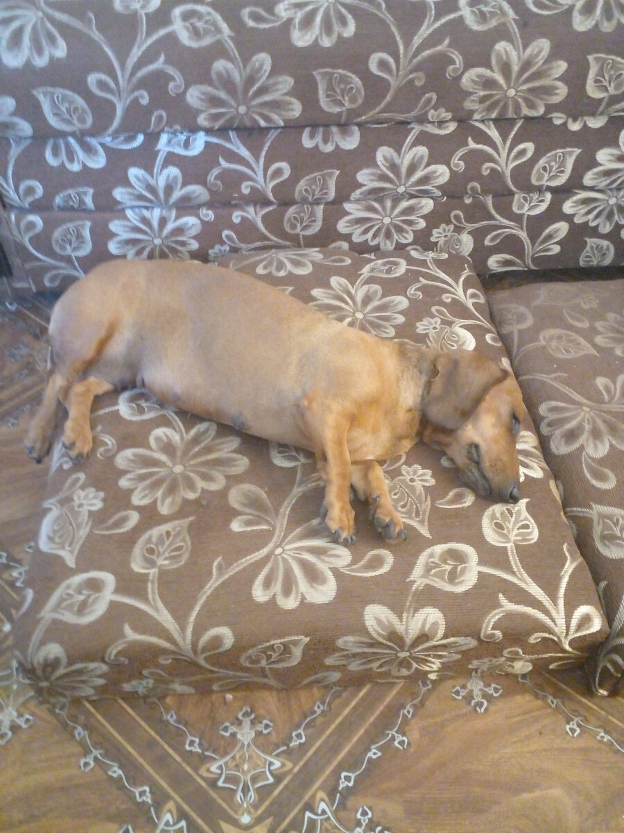 Это сегодня.