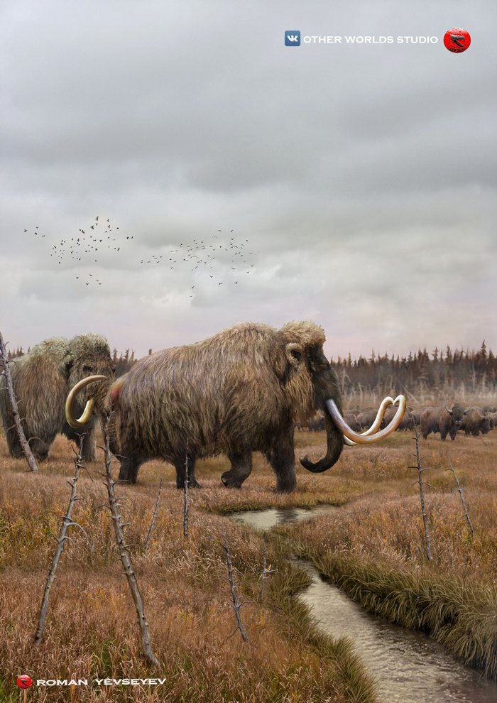 Мамонты, только ли шерстистые?