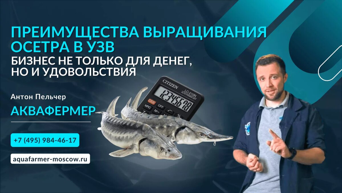 Это нужно знать о выращивании осетровых в УЗВ | Антон Пельчер. Аквафермер | Дзен