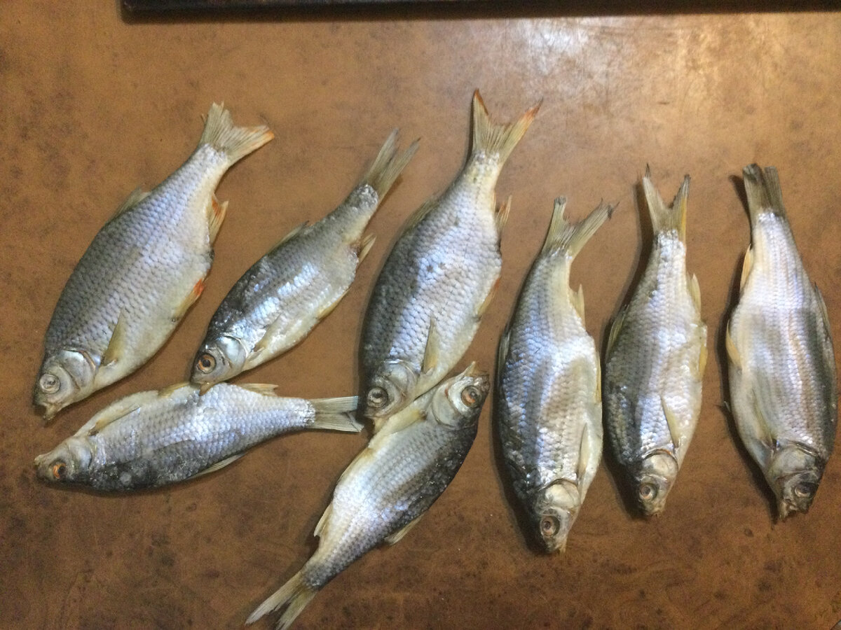 Моя сушеная рыбка 