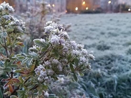     В центре температура опустилась до -0,6 градуса. Фото: МК в Питере