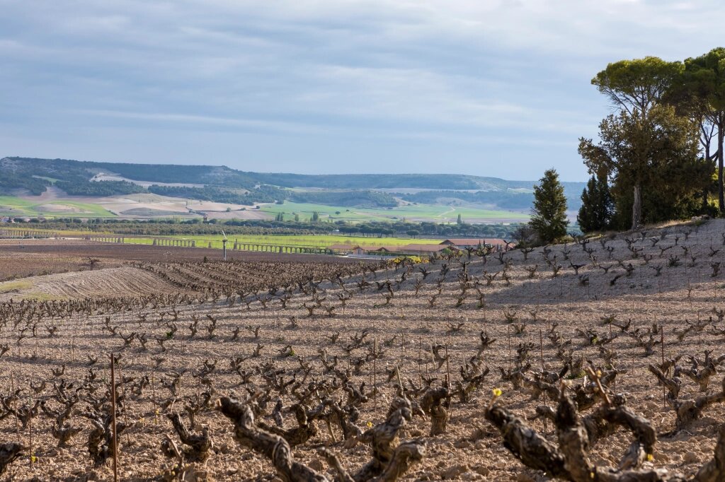 Фото http://www.temposvegasicilia.com