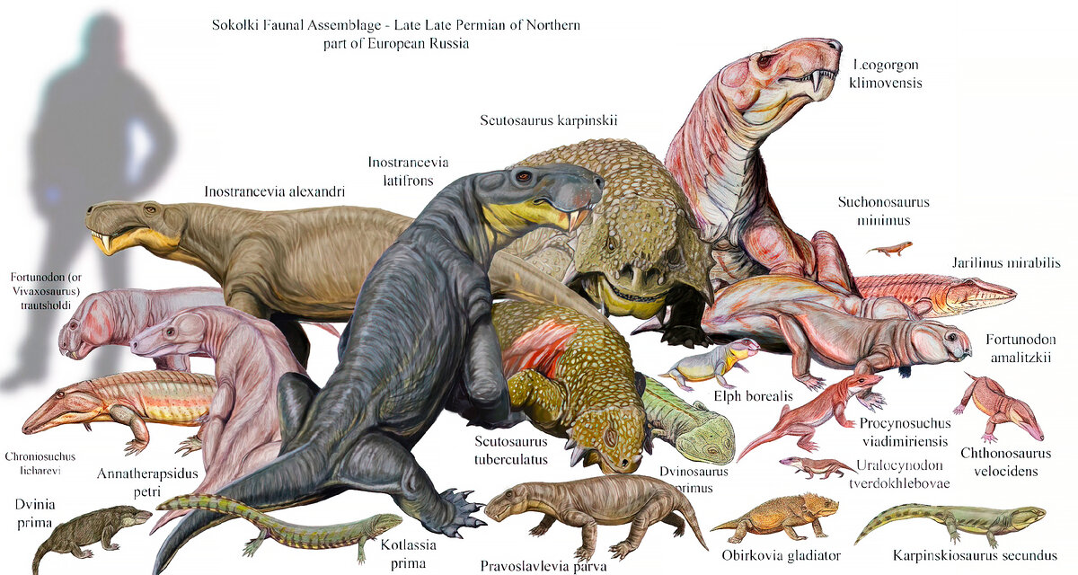 Горгонопс. Саблезубый звероящер. Вымершее животное. Факты о животных