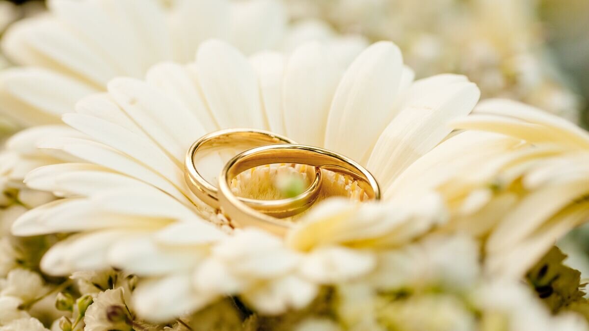    Обручальные кольца© Fotolia / Tobilander
