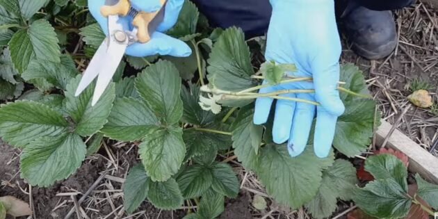 Кадр: Всё в твоих руках! / YouTube📷
