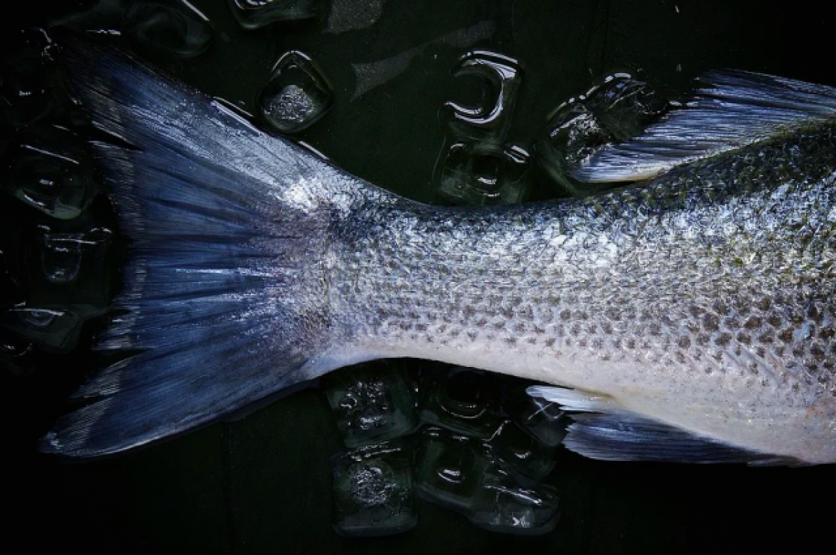    Пермячка сообщила, что нашла в рыбе из супермаркета червей