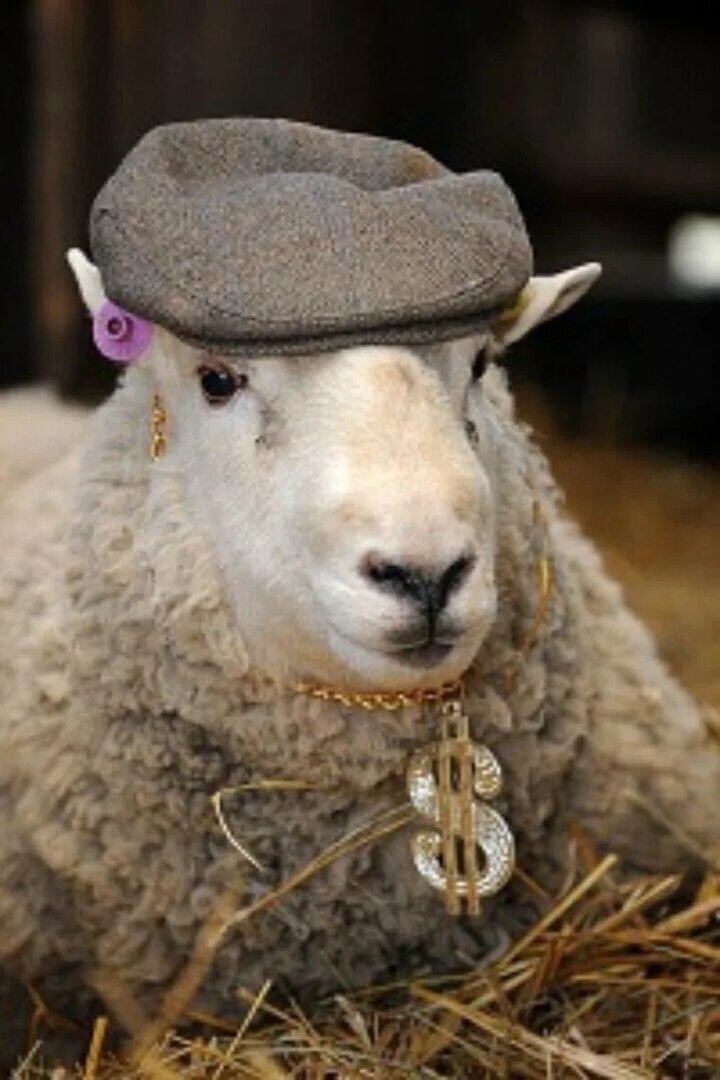 Фото из интернета. 