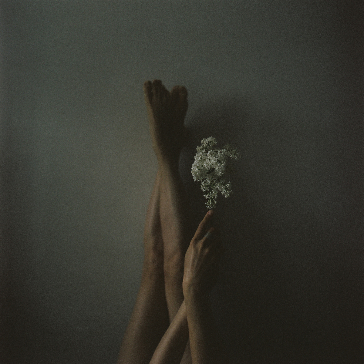 Фото: Юлия Михайловская