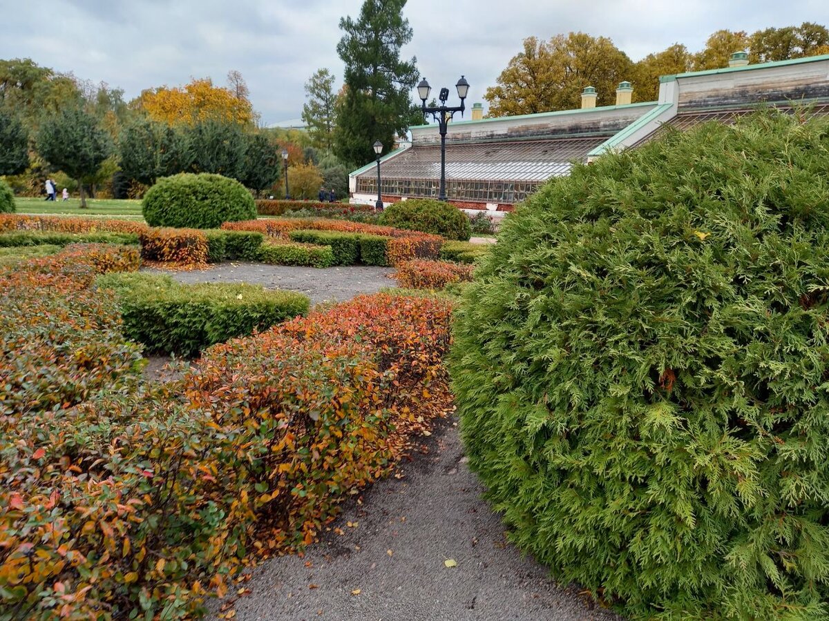 Оформление клумб