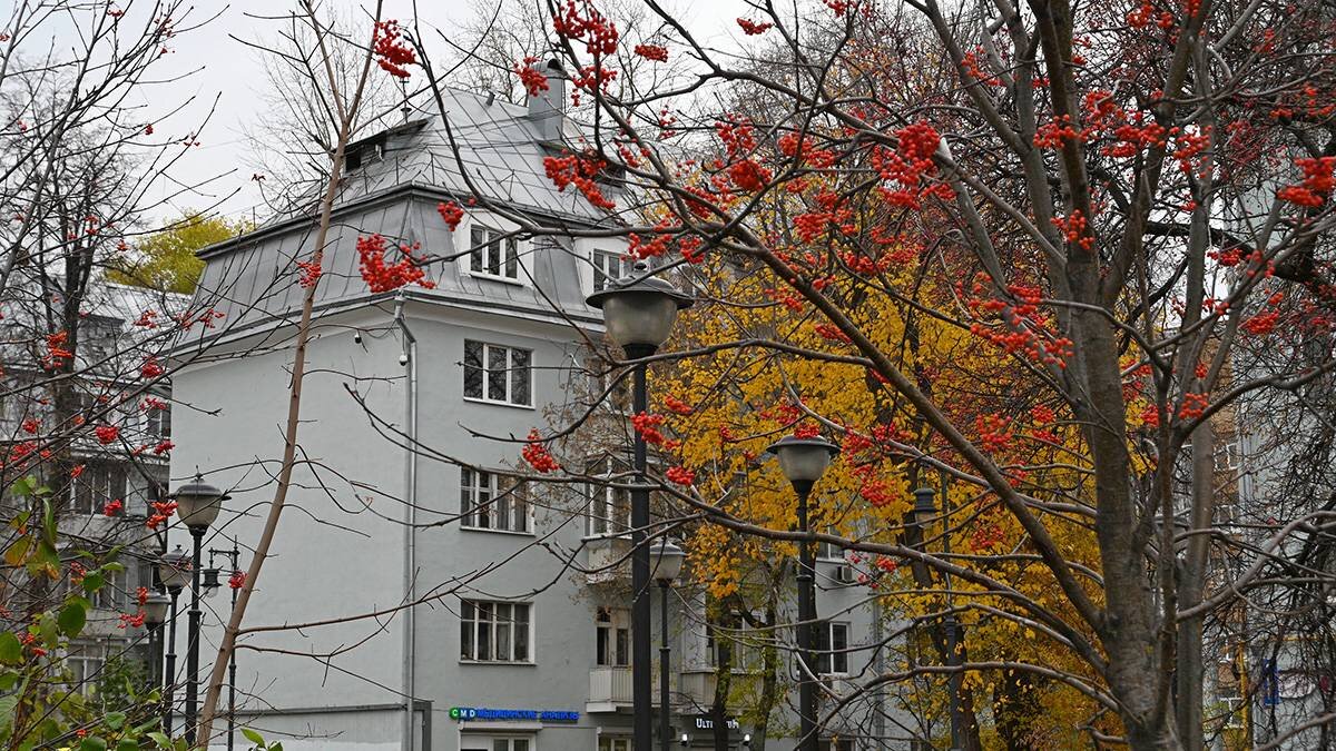    Фото: Алексей Орлов / Вечерняя Москва