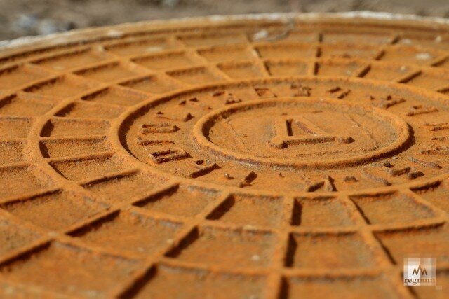    Люк Наталья Стрельцова © ИА REGNUM