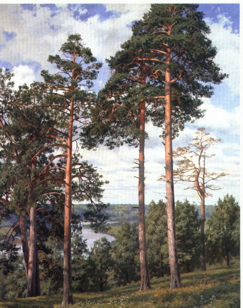 А.-Герасимов.-Сосны.-Облачный-день-1-808x1024