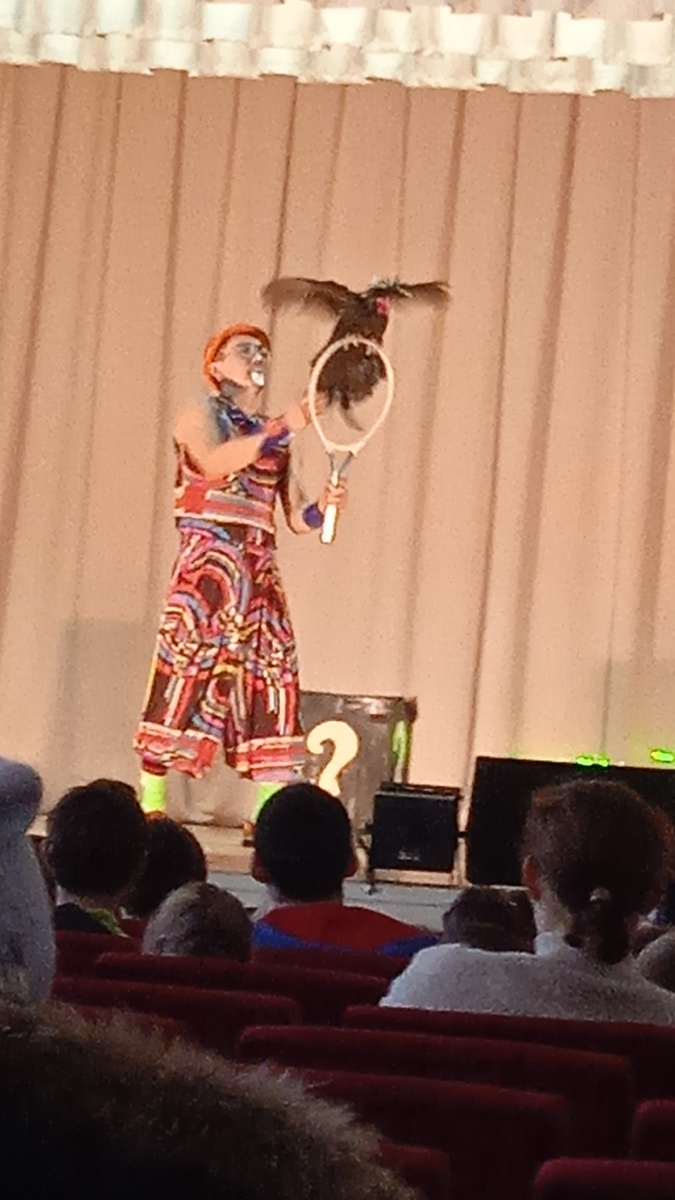 Дрессированный петушок 🐓.