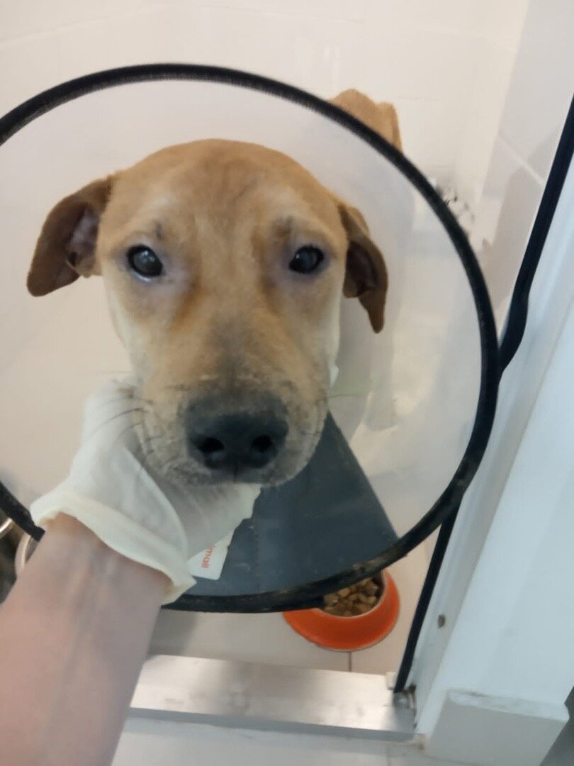 Фото-собственность канала