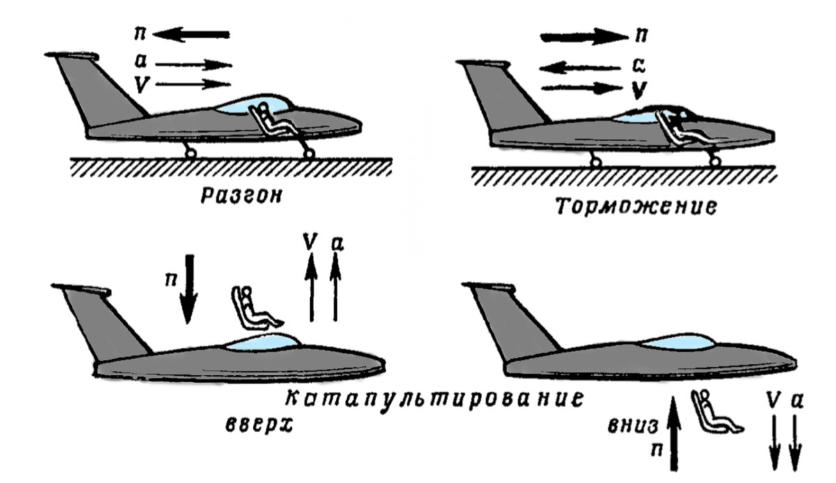 Какую перегрузку может выдержать летчик? | AIRBORNE | Дзен