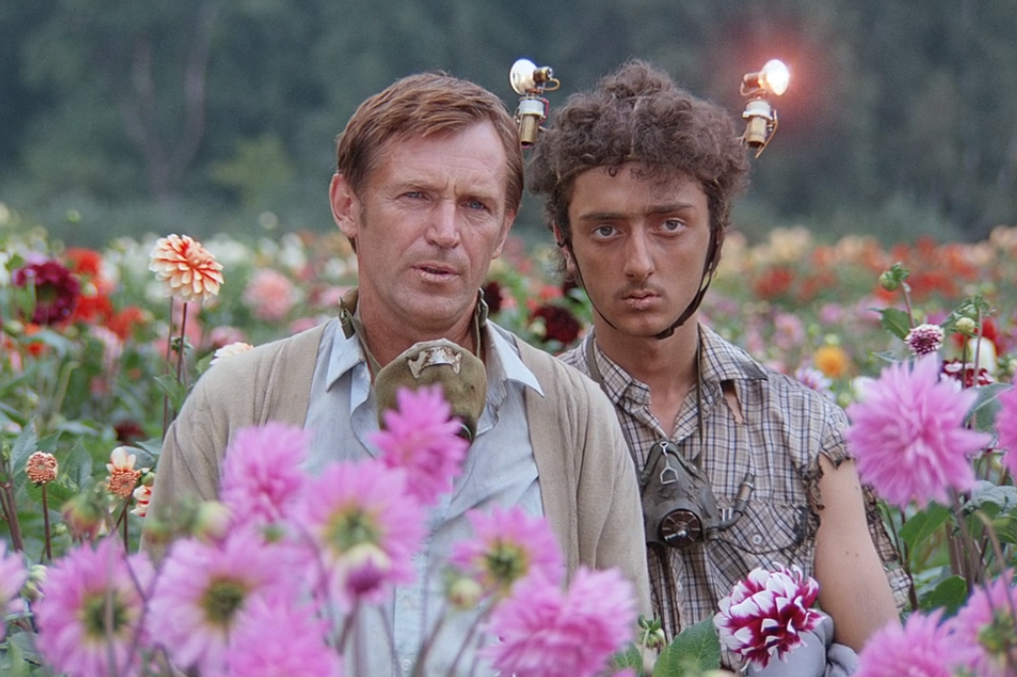 Скриншот кадра из кинофильма "Кин-дза-дза!" (1986), режиссер Георгий Данелия, сценаристы Георгий Данелия, Реваз Габриадзе