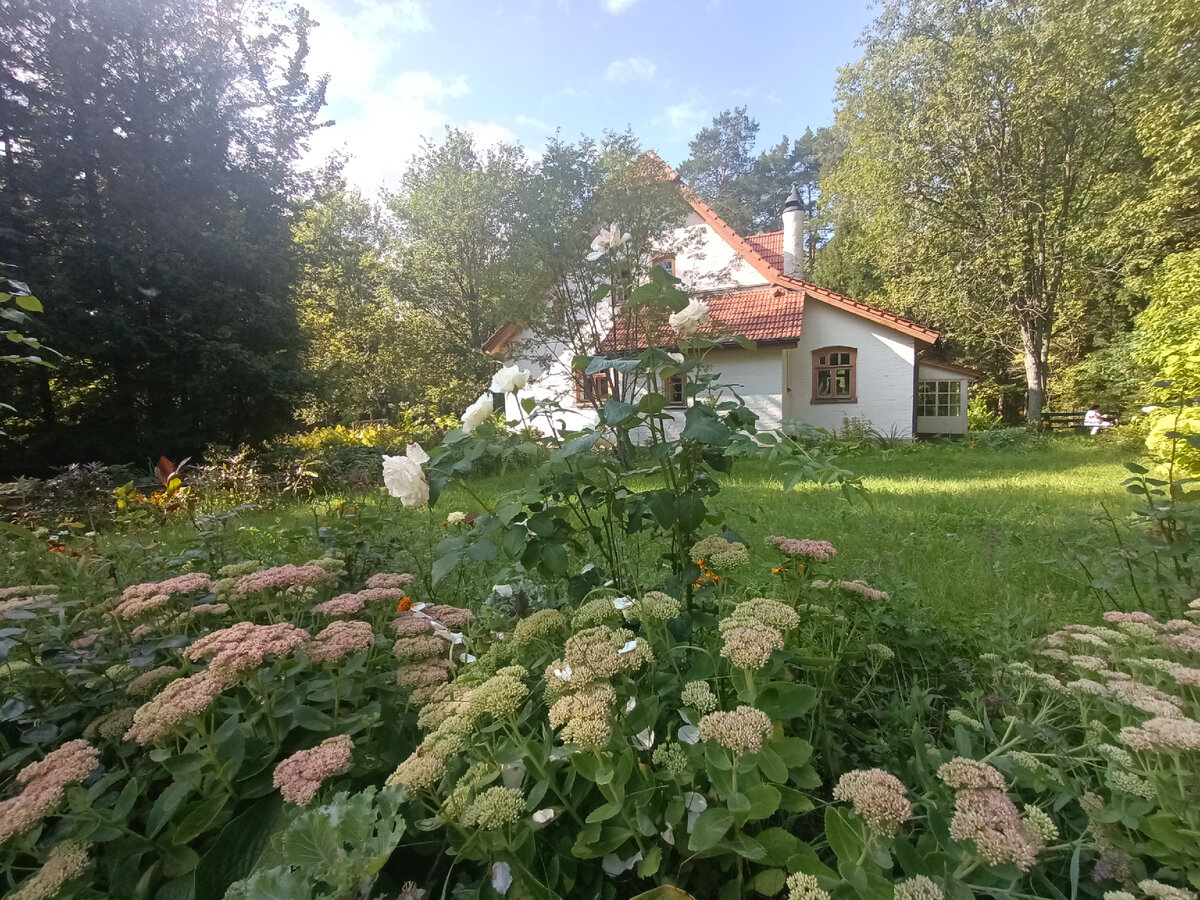 Мастерская художника в цветах. Фото из личного архива.