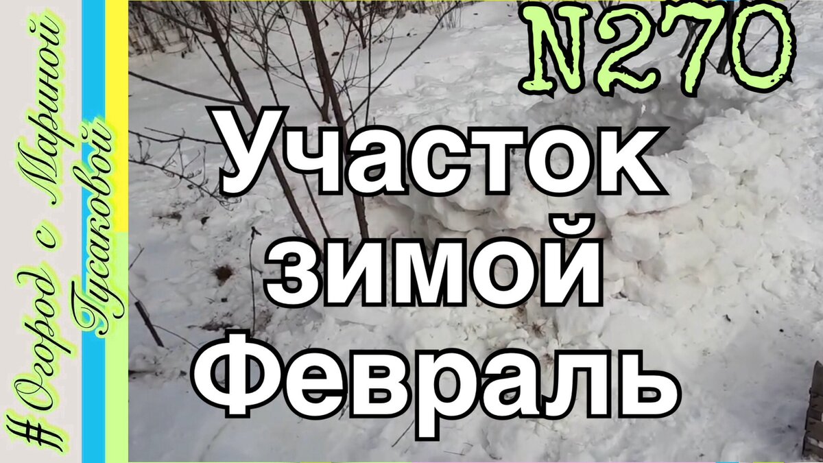 Обзор огорода – конец января 31-е числи… все тает, но снег еще держится. Декабрь был вообще без снега. Катались на лыжах всего 10 раз. Дети соорудили крепости из снега. Капель 5 февраля, ночью был ливень. Какие уж теперь лыжи…