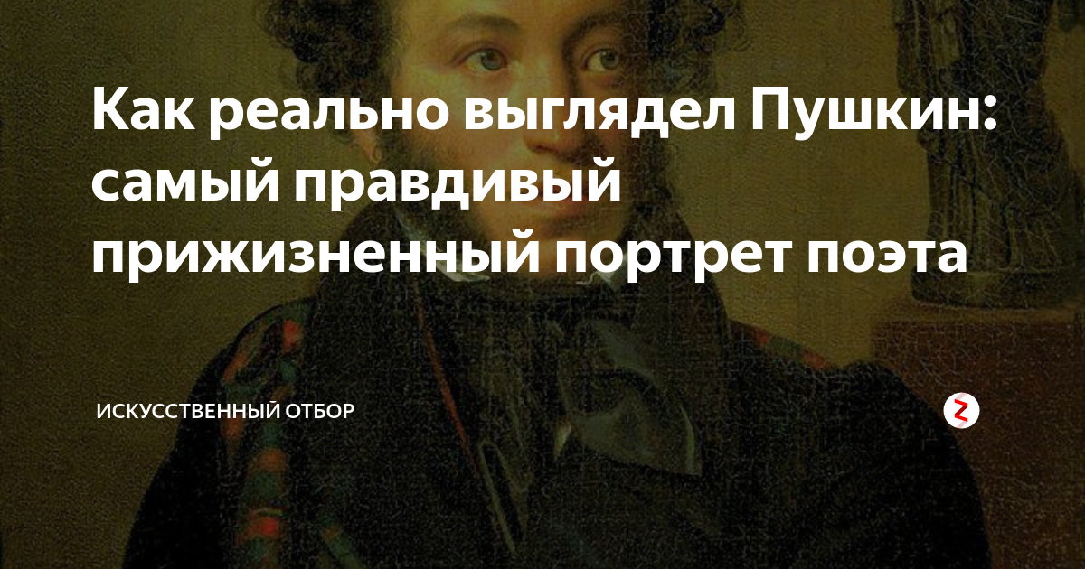 Как выглядел пушкин. Реальная внешность Пушкина. Пушкин настоящий облик. Пушкин настоящая внешность. Александр Сергеевич Пушкин настоящая внешность.