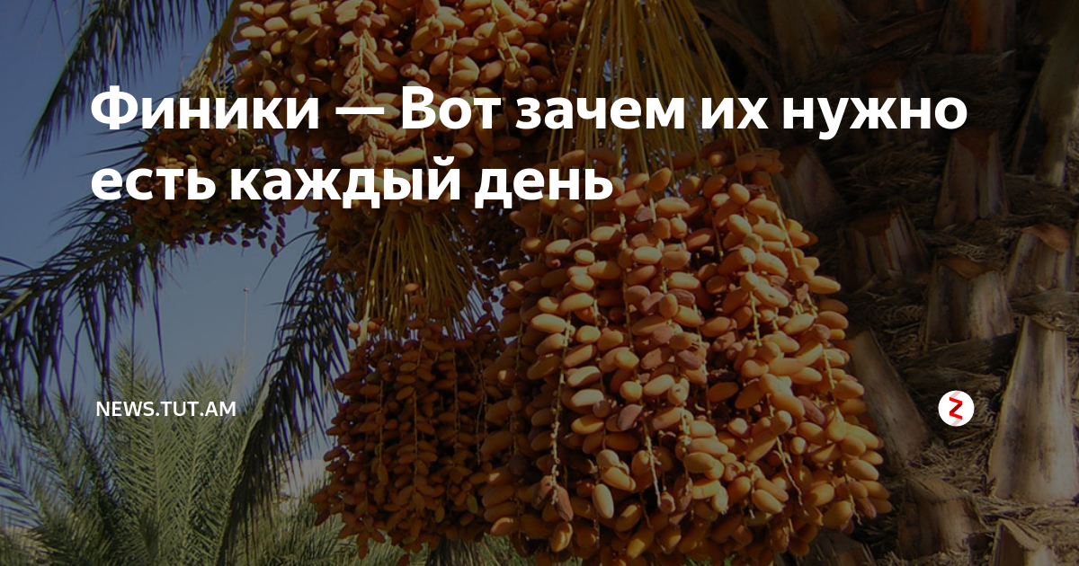 Что будет если есть финики каждый день