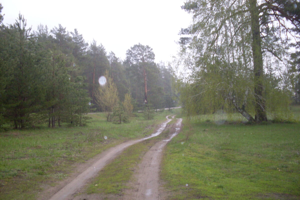 Заветная дорожка к речке.