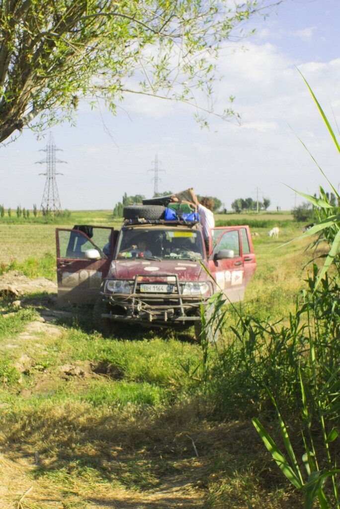 Утро на узбекских полях.