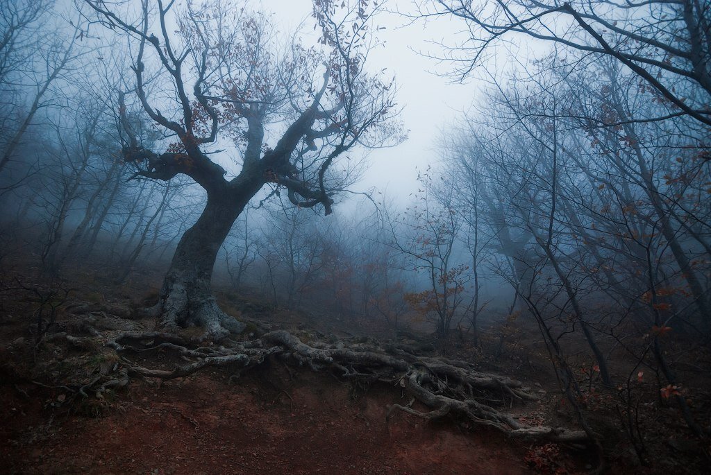 Скрытая сторона мира. Источник: photographers.ua