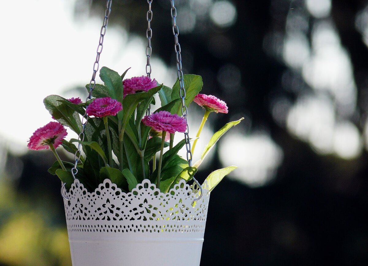 фото: pixabay.com