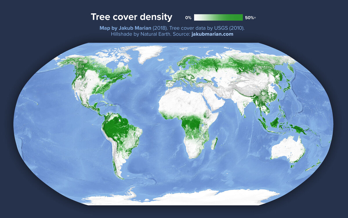 Карта лесов планеты
